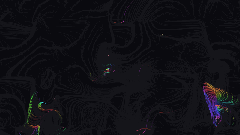 Flow Field